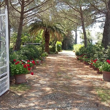 Campo Alle More Cecina  Exterior photo