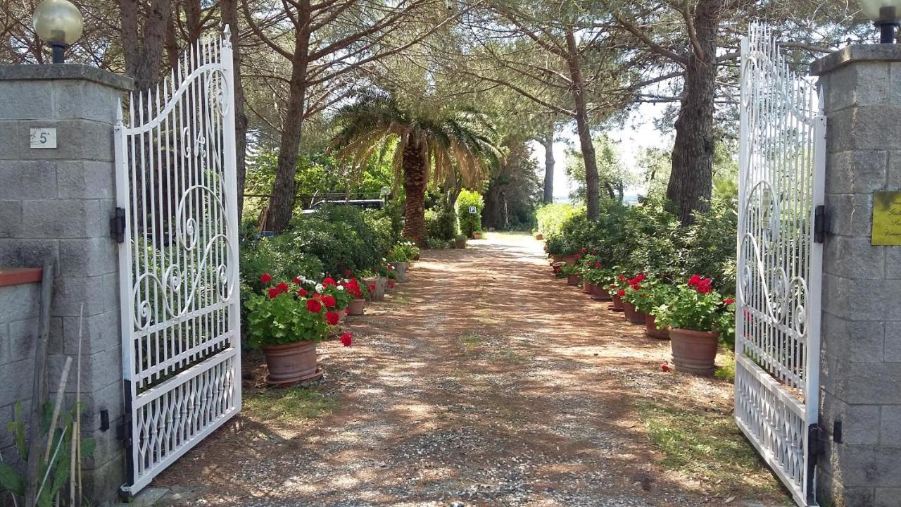 Campo Alle More Cecina  Exterior photo