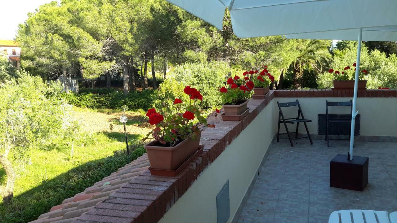 Campo Alle More Cecina  Exterior photo
