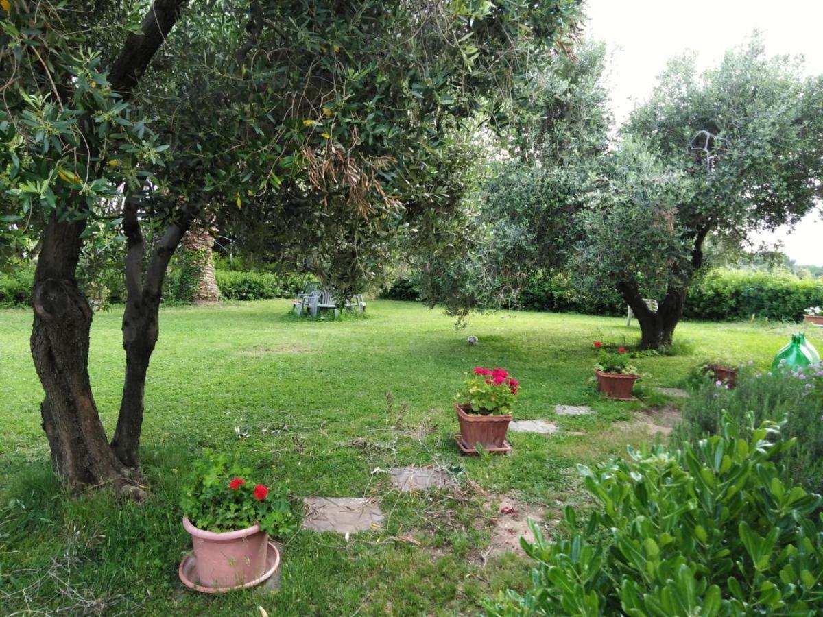 Campo Alle More Cecina  Exterior photo