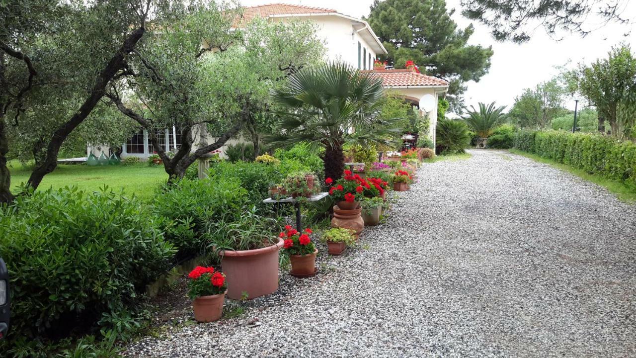 Campo Alle More Cecina  Exterior photo