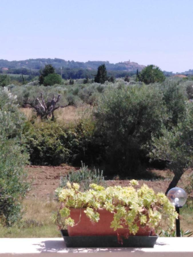 Campo Alle More Cecina  Exterior photo